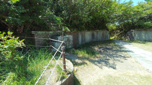 Photo_3