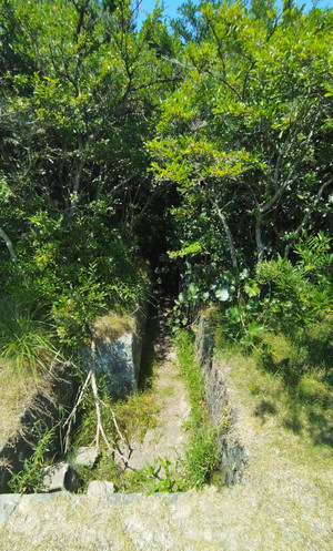 Photo_4
