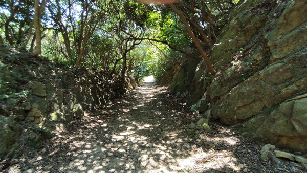 Photo_6 Photo_6